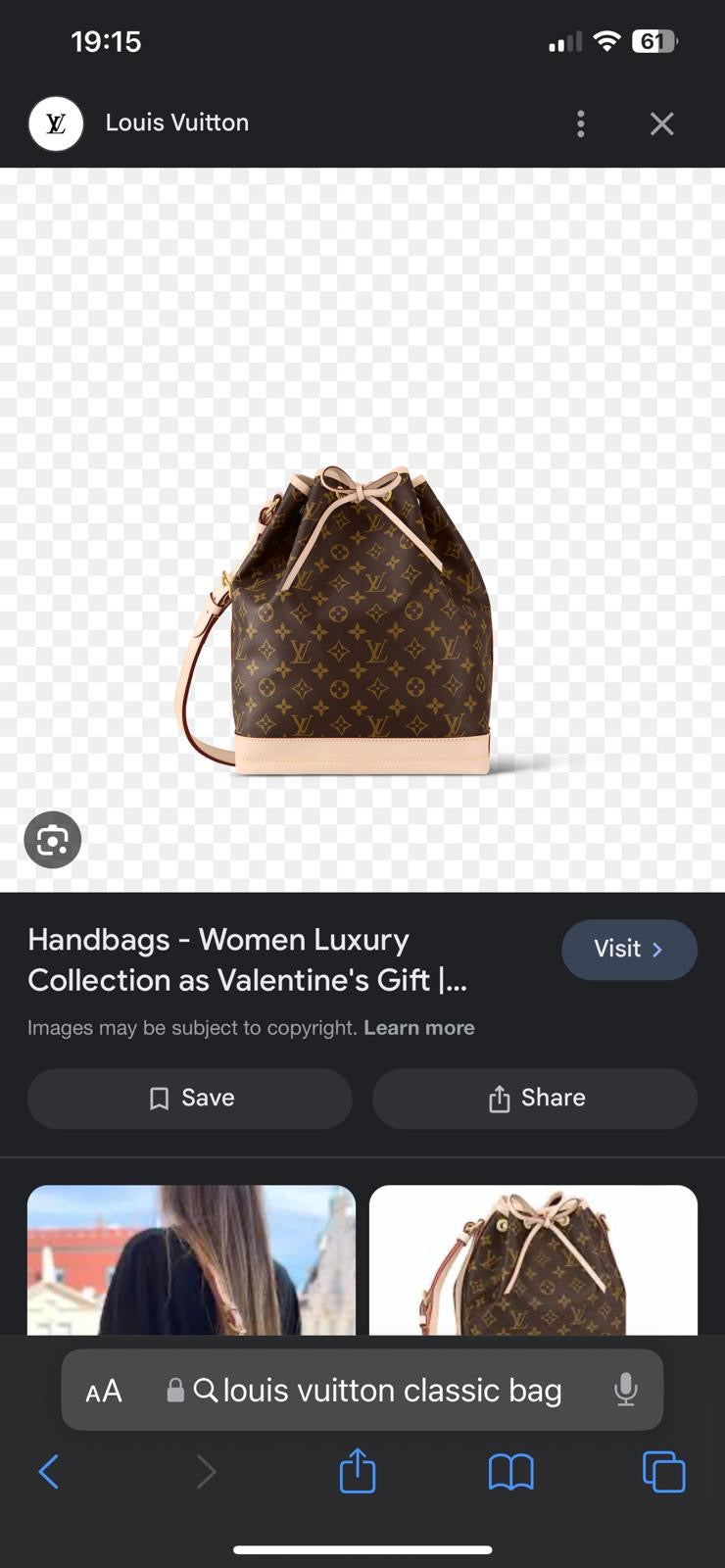 LV ladies bag