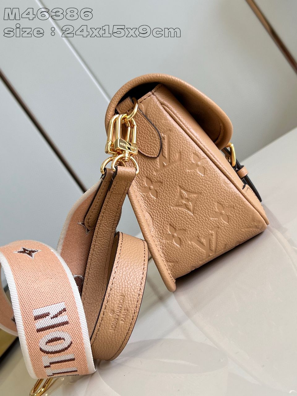 LV Ladies Bag