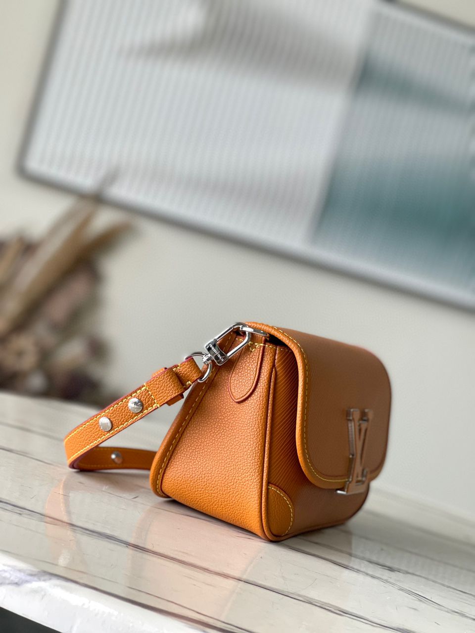 LV women’s Bag